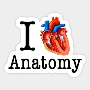 I love Anatomy Sticker